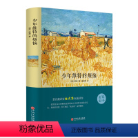 [正版] 少年维特的烦恼 世界文学名著经典文学 青少年课外读物 语文阅读书目 名家名译
