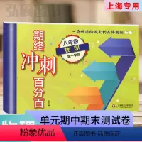 9年级 语数英物化(全5册) 初中通用 [正版]期终冲刺百分百六七八九年级语文数学英语N版物理化学上海初中同步辅导单元测