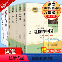 全套7册]八年级上册必读名著 人教版 [正版]八年级上册课外书寂静的春天飞向太空港星星离我们有多远必读原著长征上下册王树