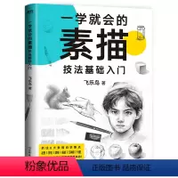 [正版]一学就会的素描技法基础入门飞乐鸟中国友谊出版公司978750575234