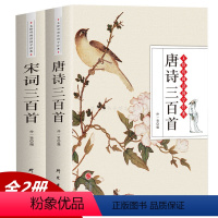 [正版]2册完整版300首唐诗三百首 宋词三百首 文白对照带注释译文赏析 全集全解无删减唐诗宋词鉴赏辞典 学生成人古诗