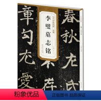 [正版] 北魏李璧墓志铭 历代碑帖 薛元明编 附译文 附技法解析 楷书毛笔字帖 安徽美术出版社 李壁书法图书书籍