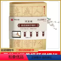 [正版]华夏万卷字帖 零基础跟着视频学描红:赵孟頫楷书胆巴碑 成人初学者毛笔练字帖学生入门描红练习教程字帖