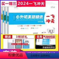 小升初真题精选 [语数英] 套装 小学六年级 [正版]科目任选天津2024版一飞冲天小升初真题精选语文数学英语全套小升初