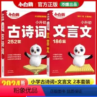 [文言文+古诗词]2本套装 小学通用 [正版]2024小白鸥星空小升初古诗词252首文言文186篇三四五六年级人教版万唯
