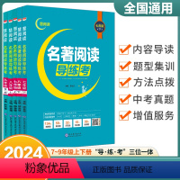 初中名著阅读导练考 九年级 [正版]2024新版慧阅读名著阅读导练考七八九年级上册下册任选初中名著导读考点精练全国通用初