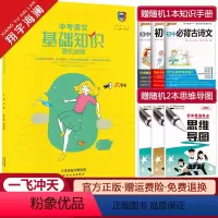 中考语文基础知识强化训练 九年级 [正版]2024新版中考语文基础知识强化训练九年级初中语文基础知识积累运用巩固提升 初