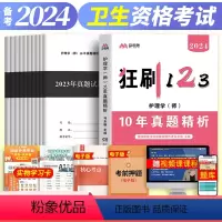 [正版]备考2024年初级护师10年真题精析历年真题试卷习题集模拟试卷初级护师考试可搭配护考轻松过随身记马君医卫生资格