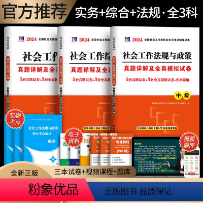 [正版]新版2024年社会工作者中级社会工作实务综合能力法规与政策历年真题详解真题库社会工作师执业水平证考试用书社工中