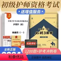 [正版]初级护师考前押题备考2024护理学师必刷3套卷1200题资格题库历年真题资料模拟试卷全国考试书护士人卫军医版轻