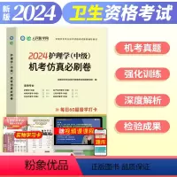 [正版]主管护师2024年人民医学网护理学中级仿真押题必刷卷全国卫生专业技术资格考试用书必刷题人卫版丁震中级内科外科妇