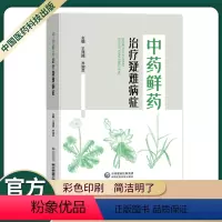 [正版]中药鲜药治疗疑难病症临床运用经验中医肿瘤科用中药鲜药治疗白血病再障独特作用鲜中药临床优势蒲公英白茅根荷叶小蓟地