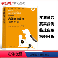[正版]宠物医生手册(第2版)犬猫疾病诊治彩色图谱第二版临床手术用药小动物内科学职业兽医师用书小动物外科学兽医病理学中