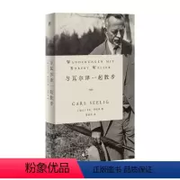 [正版]与瓦尔泽一起散步