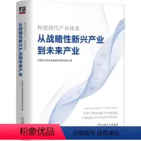 [正版]构建现代产业体系:从战略性新兴产业到未来产业