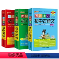 语数英3本 初中通用 [正版]2024图解速记初中英语基础知识手册RJ人教版单词词汇语法短语句型范文知识点大全七八九年级