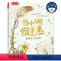 当小脚慢下来 发现小小世界 [正版] 当小脚慢下来 发现小小世界 带孩子走进自然 获得幸福感知力 小红书妈妈圈流量担当