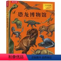 恐龙博物馆 [正版]奇迹博物馆 恐龙博物馆 3-8岁儿童科普 揭秘恐龙的秘密知识亲子互动大百科全书学前一年级课外阅读恐龙