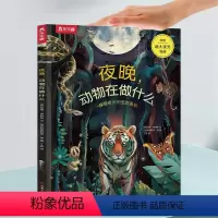 奇妙环球之旅 夜晚,动物在做什么 [正版]奇妙环球之旅(2册)夜晚,动物在做什么 6-10-12岁儿童科普百科立体视觉地