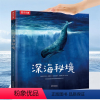 探寻海下10000米☟深海秘境 [正版]深海秘境 海洋生物知识科普6-8-12岁小学生读物海洋动物知识儿童百科高清油画大