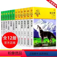 [全12册]沈石溪动物小说 [正版]狼王梦沈石溪全套画本四五六年级小学生课外阅读书漫画版全集十大非经典五年级注音版珍