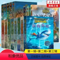 动物特战队全集[共18册] [正版]沈石溪动物特战队 全套18册中国原创奇幻沈石溪动物小说6-7-10-12-15岁儿童