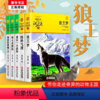 [正版]沈石溪动物小说系列5册狼王梦斑羚飞渡第七条猎狗再被狐狸骗一次全集儿童四五六年级小学生课外阅读书籍