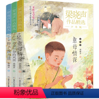 梁晓声作品精选·少年版[全3册] [正版]梁晓声作品集精选少年版全3册慈母情深老水车旁的风景种子的力量儿童文学作品茅盾文