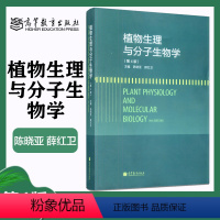 [正版]植物生理与分子生物学 第四版第4版 陈晓亚 薛红卫