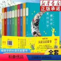 给孩子的大语文启蒙书 藏在诗里的汉字(共10册) [正版]给孩子的大语文启蒙书全套10册藏在诗里的汉字二三四五六年级小学