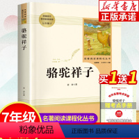 骆驼祥子 [正版]骆驼祥子原著老舍七年级下册初中版人民教育出版社读物课外书初一初中生课外阅读书籍人教版7七下名著