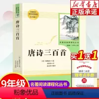 唐诗三百首 [正版]唐诗三百首 初中学生版完整版无删减 初三九年级上册名著阅读课程化丛书 唐诗300首中考课外阅读诗歌诗
