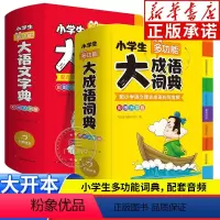 [正版]2024新版大语文素材词典+多功能大语文词典 全2册 小学生多功能大全四字彩图大字版 中华现代汉语词语词典工具
