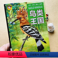 鸟类王国 [正版]有声读物鸟类王国鸟类书籍大百科科普画册关于小鸟的书鸵鸟火烈鸟巨嘴鸟孔雀天鹅幼儿早教图片绘本动物世界儿童