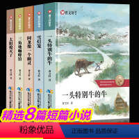 [全套5册]曹文轩画本 [正版]雪灯笼一头特别牛的牛系列书系曹文轩画本儿童文学全套5册绘本国际获奖小说小学生三四五六年级