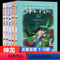[神龙寻宝队]1-5册 [正版]1-5册神龙寻宝队漫游中国历史谷清平汤小团藏在国宝里的故事书冒险童话消失的国宝穿越小学生