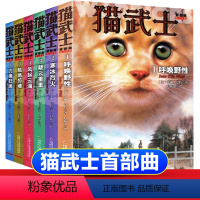 [全套6册]猫武士首部曲 [正版]6册全套猫武士第二部曲关于人生生存勇气的动物智慧故事书籍中小学生四五六七八年级课外书必
