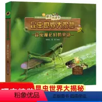昆虫世界大揭秘昆虫和它们的亲戚 [正版]昆虫世界大揭秘昆虫和它们的亲戚 精装昆虫图鉴,上百张全彩高清昆虫大图,300多个