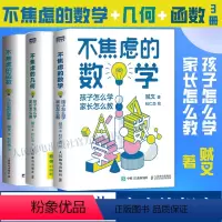 [正版]出版社不焦虑的数学+不焦虑的几何+不焦虑的函数 3册 贼叉 从中考到高考孩子怎么学家长怎么教数学之美这样学原理