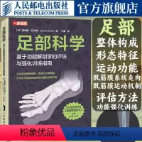 [正版]足部科学基于功能解剖学的评估与强化训练指南 足部结构运动康复书籍