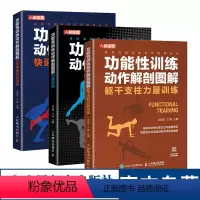 [正版]功能性训练动作解剖图解套装3册 躯干支柱力量训练 肌肉力量训练基础计划 身体功能训练动作指导丛书