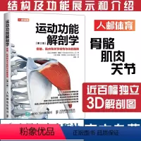 [正版]运动功能解剖学骨骼肌肉和关节结构与功能指南 肌力与体能训练运动医学康复训练健身教练书籍
