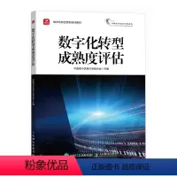 [正版]数字化转型成熟度评估 新型工业化