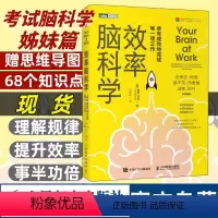 [正版]效率脑科学卓有成效地完成每一项工作 考试脑科学姊妹篇高效能人士的七个习惯工作职场深度思考成功励志书籍 人民邮电