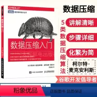 [正版]数据压缩入门 数据压缩原理与应用 数据压缩算法 程序开发教程 大数据存储技术