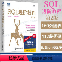 [正版]出版社SQL进阶教程 第2版 sql基础教程数据库编程sql必知必会面向集合关系数据库sql语言数据库原理与应