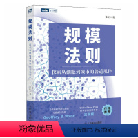 [正版]出版社规模法则 探索从细胞到城市的普适规律复杂科学企业管理 人工智能 自然科学数学物理学科普书 复杂世界的简单