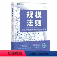 [正版]出版社规模法则 探索从细胞到城市的普适规律复杂科学企业管理 人工智能 自然科学数学物理学科普书 复杂世界的简单