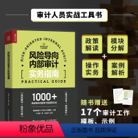 [正版]风险导向内部审计实务指南 付淑威审计实务工具书财务会计审计计划