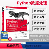 [正版]Python数据处理 python大数据分析爬虫开发零基础自学编程从入门到精通实践项目实战 程序设计数据结构分